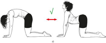 M. Voll und K. Wesker. Stuttgart – Thieme